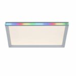 Paul Neuhaus LED-loftslampe 45 cm - Dæmpbar