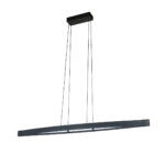 Fischer & Honsel Fenga LED Pendel 119cm - Sort