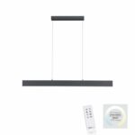 Paul Neuhaus Q-Nila 2 langbordspendel antracit m. remote