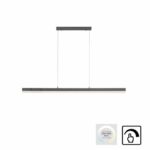 Paul Neuhaus Sina LED-hængelampe i antracit aluminium med CCT Touch og dæmpbar LED